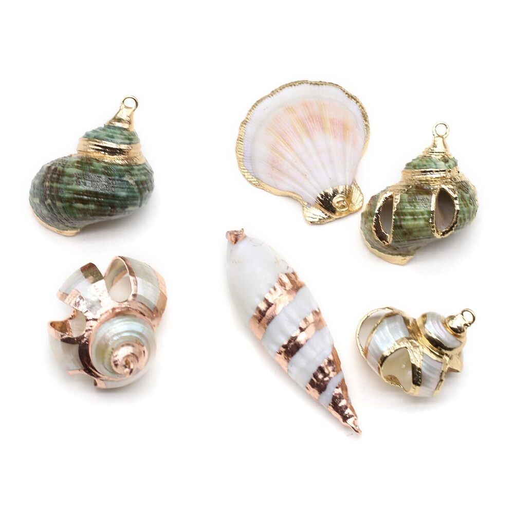 8848 20pcs Natural Pendants - Spiral, Conch, Cowrie, Sea Shells Charms - Picture 1 of 7